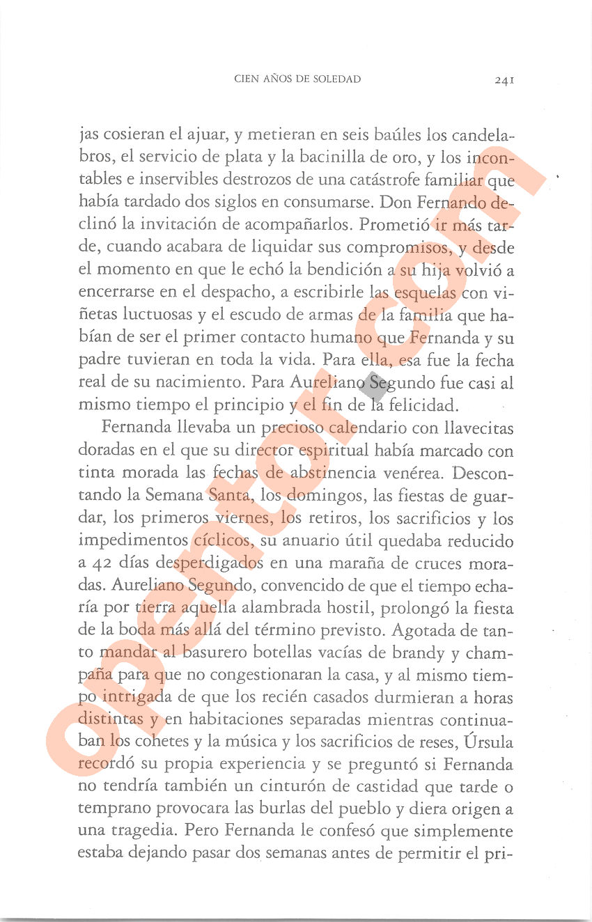 Cien años de soledad de Gabriel García Márquez - Página 241