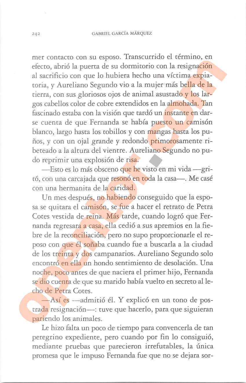 Cien años de soledad de Gabriel García Márquez - Página 242