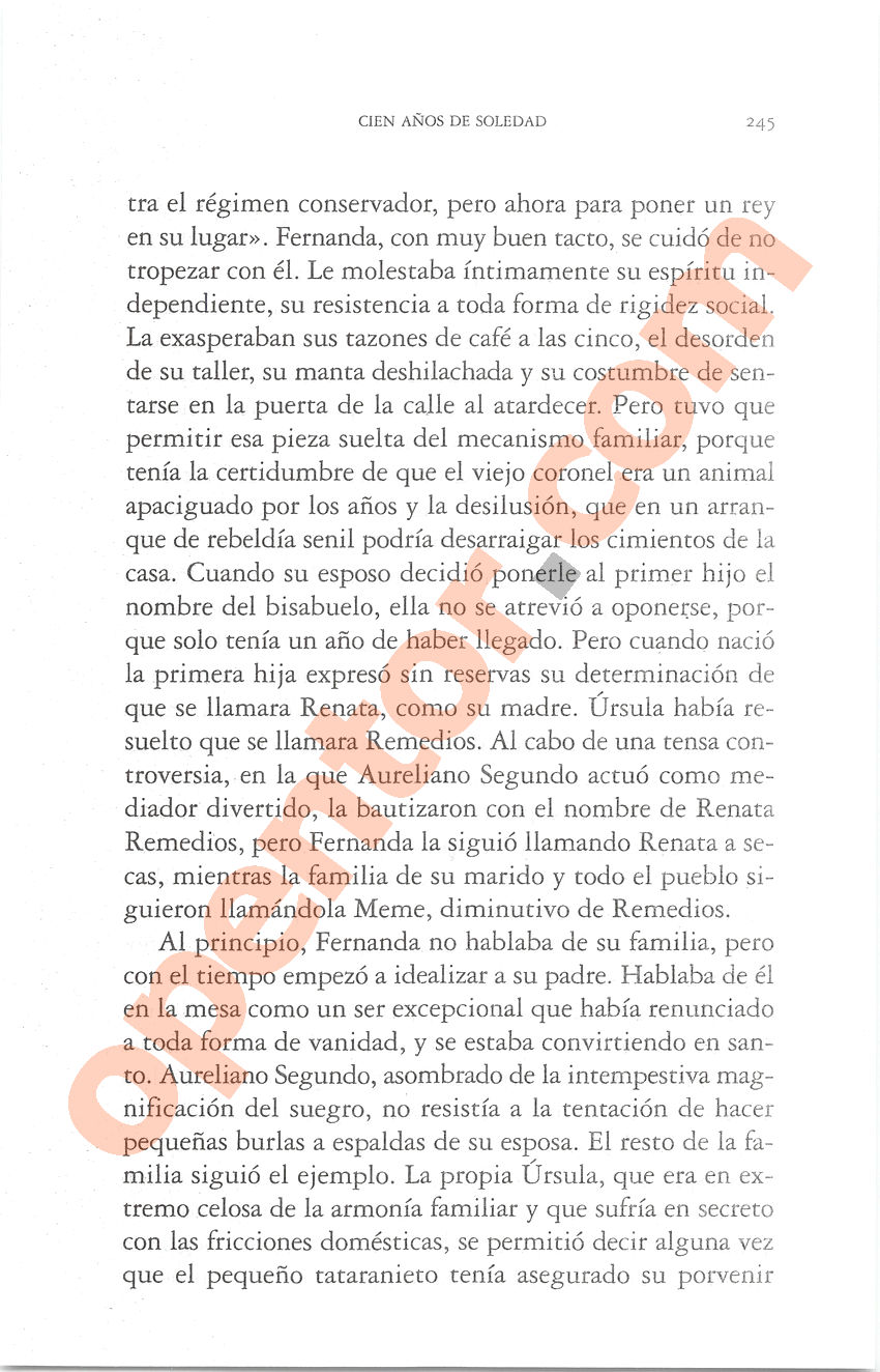 Cien años de soledad de Gabriel García Márquez - Página 245