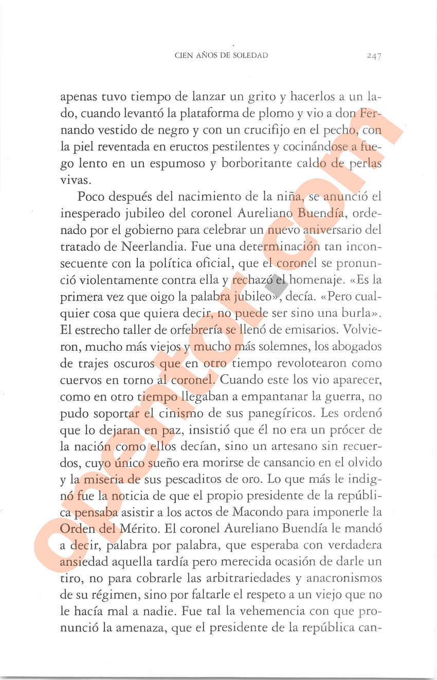 Cien años de soledad de Gabriel García Márquez - Página 247