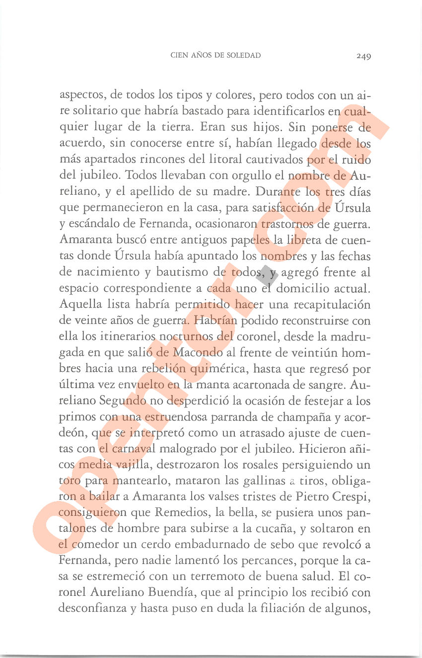 Cien años de soledad de Gabriel García Márquez - Página 249