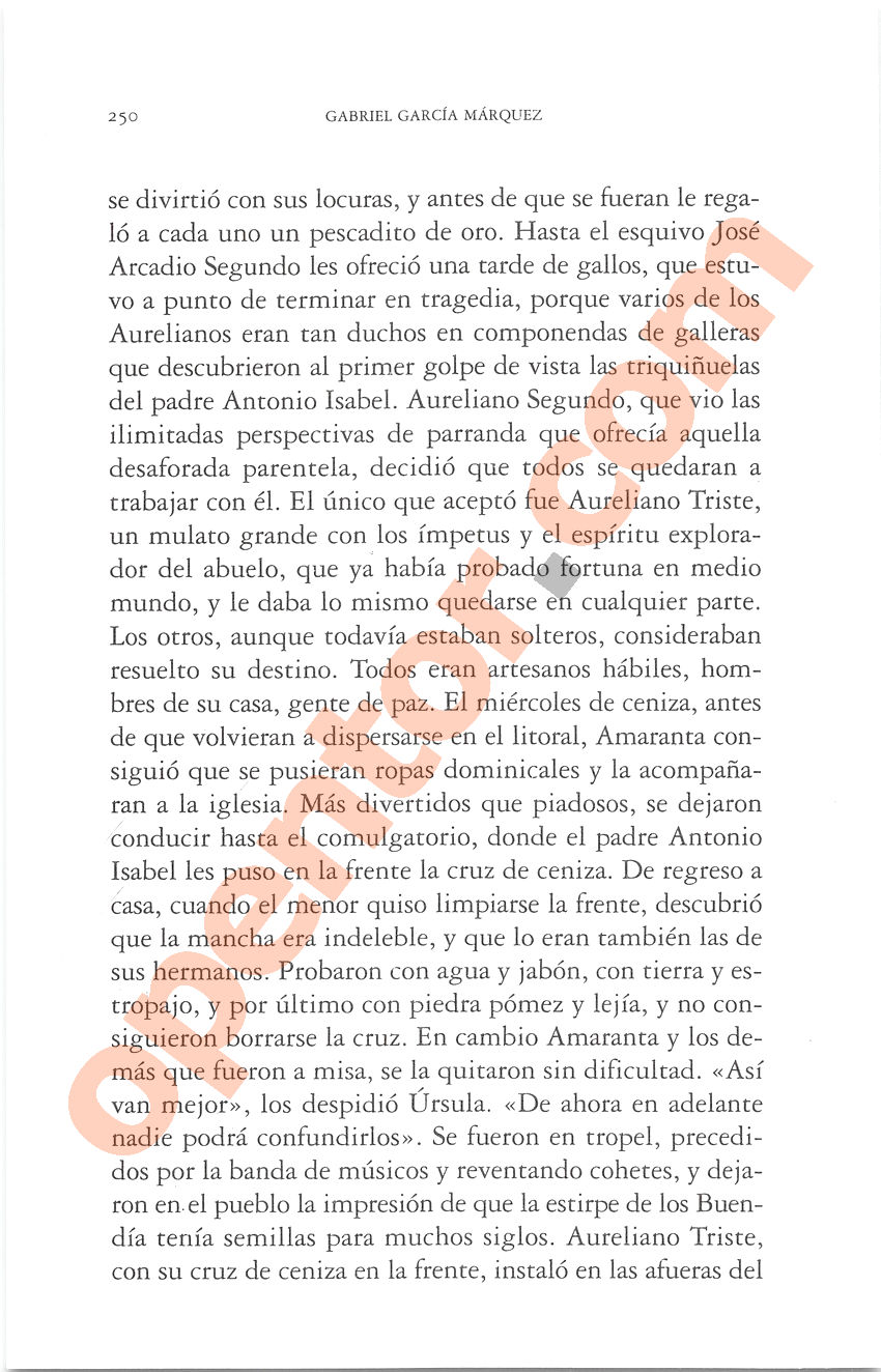 Cien años de soledad de Gabriel García Márquez - Página 250