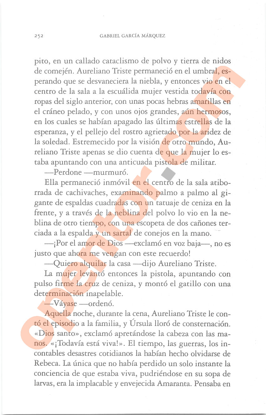 Cien años de soledad de Gabriel García Márquez - Página 252