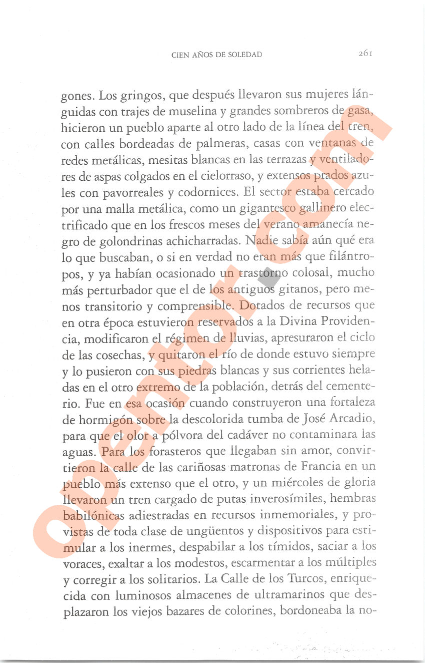 Cien años de soledad de Gabriel García Márquez - Página 261