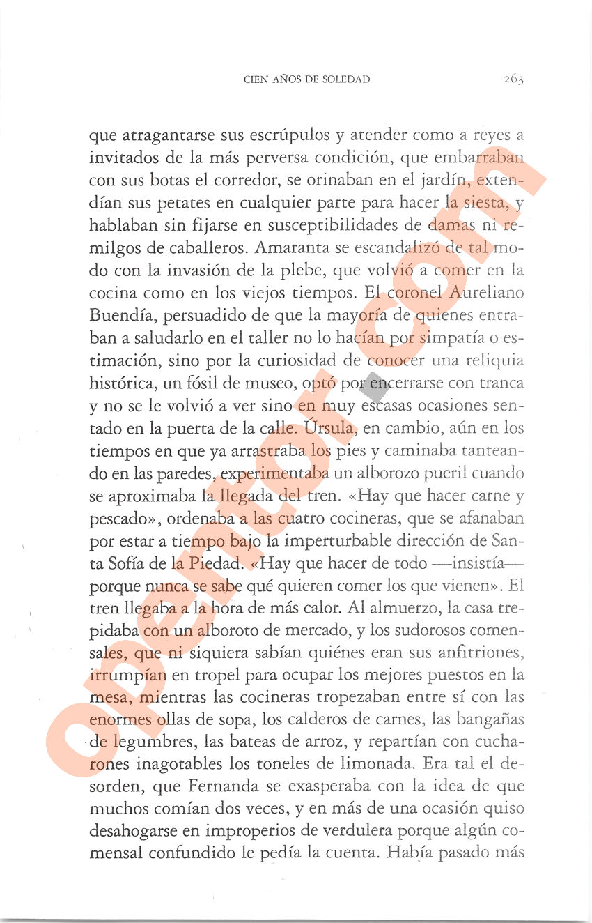 Cien años de soledad de Gabriel García Márquez - Página 263