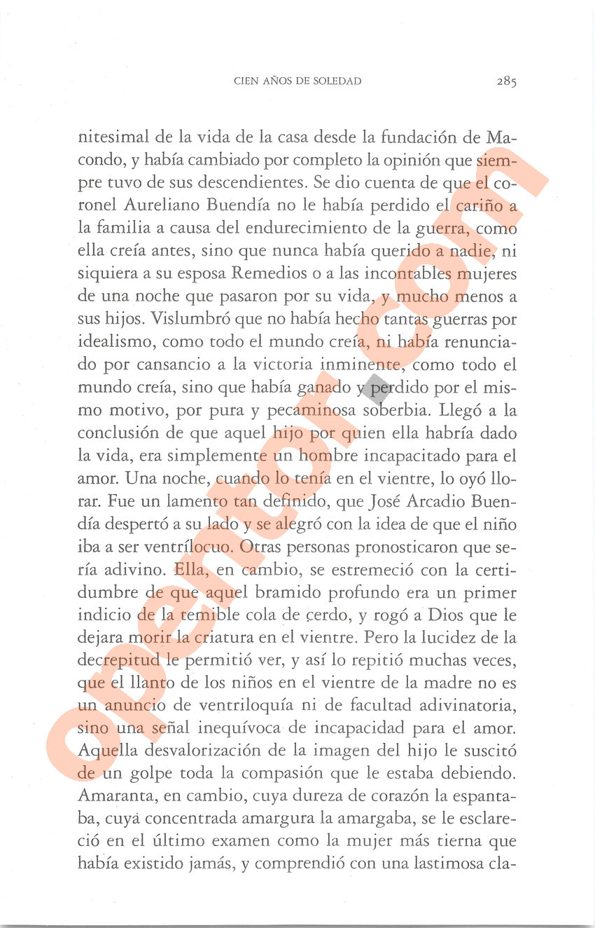Cien años de soledad de Gabriel García Márquez - Página 285