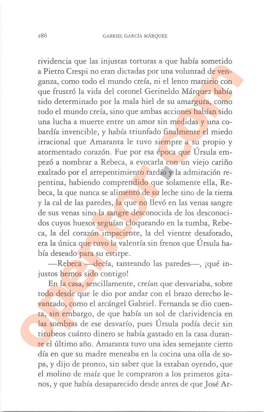 Cien años de soledad de Gabriel García Márquez - Página 286