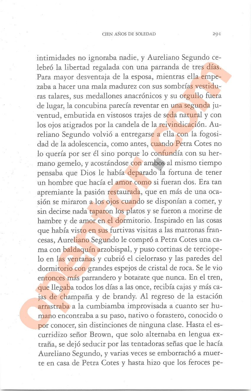 Cien años de soledad de Gabriel García Márquez - Página 291