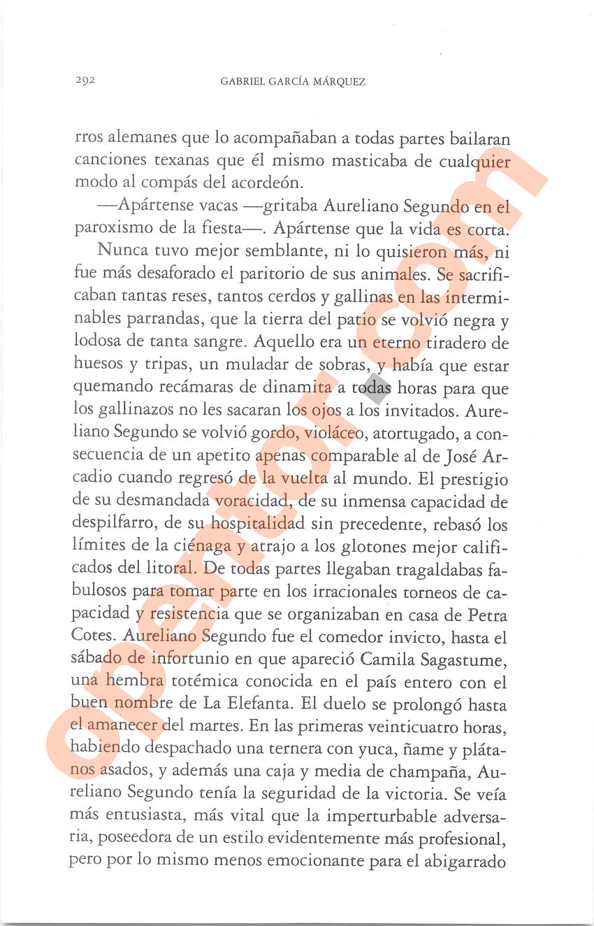 Cien años de soledad de Gabriel García Márquez - Página 292