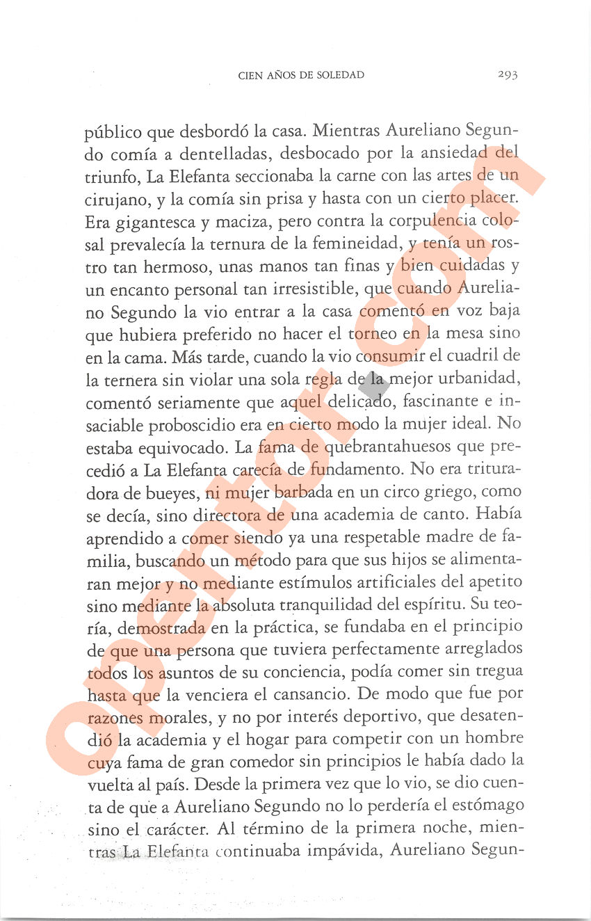 Cien años de soledad de Gabriel García Márquez - Página 293