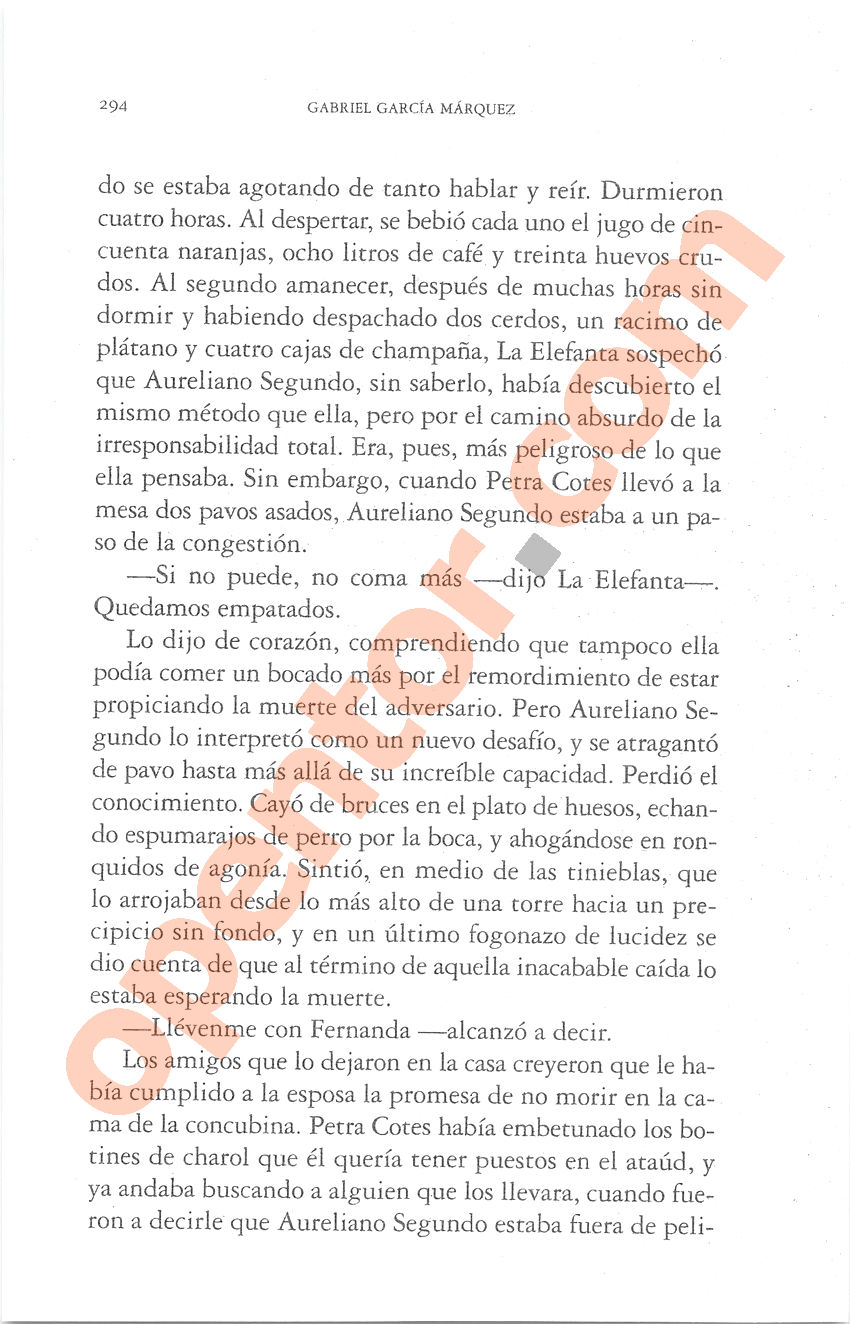 Cien años de soledad de Gabriel García Márquez - Página 294