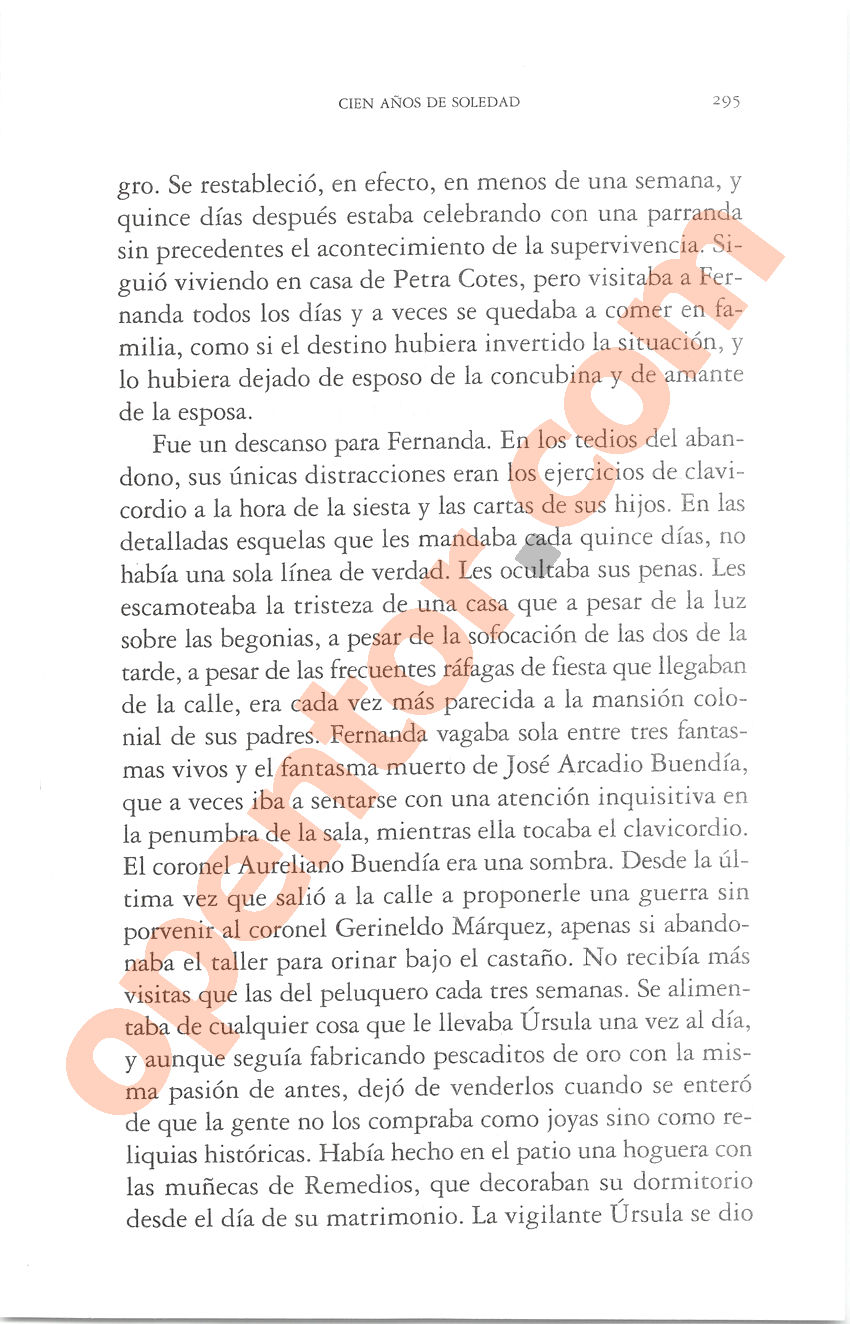 Cien años de soledad de Gabriel García Márquez - Página 295