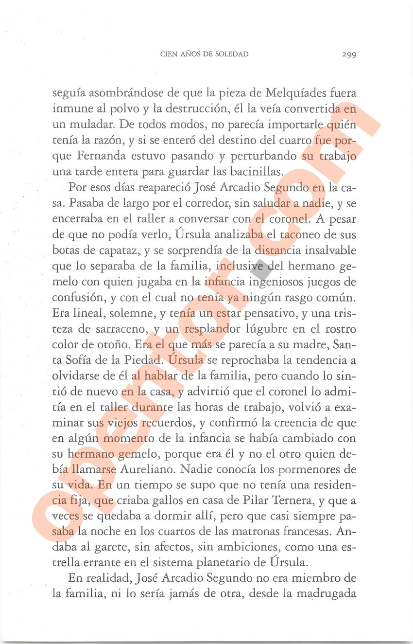 Cien años de soledad de Gabriel García Márquez - Página 299