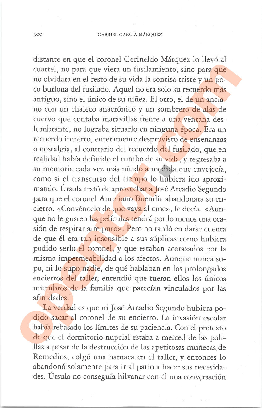Cien años de soledad de Gabriel García Márquez - Página 300