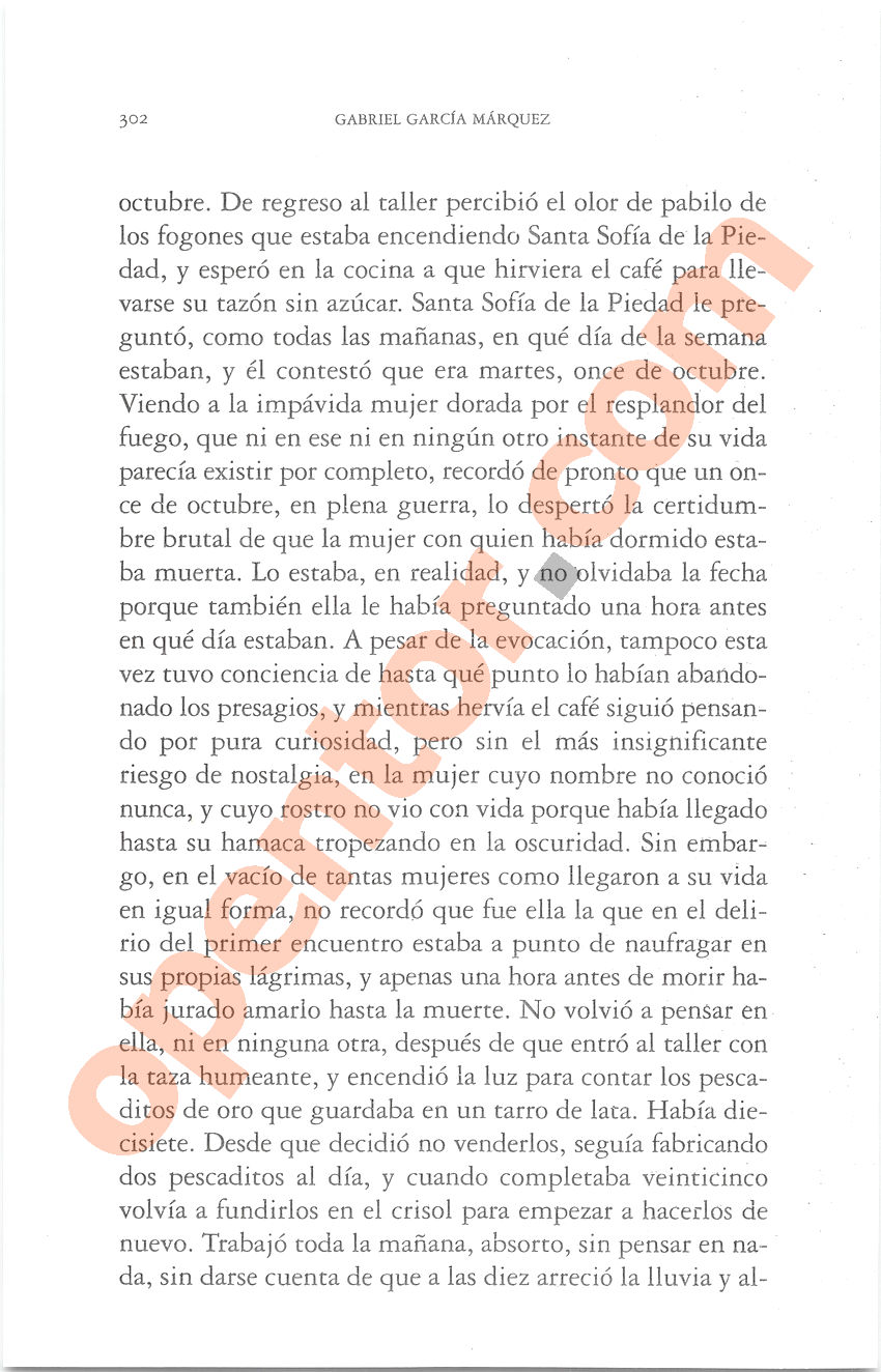 Cien años de soledad de Gabriel García Márquez - Página 302