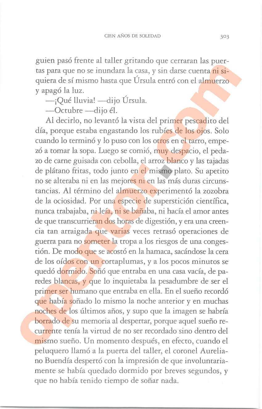 Cien años de soledad de Gabriel García Márquez - Página 303
