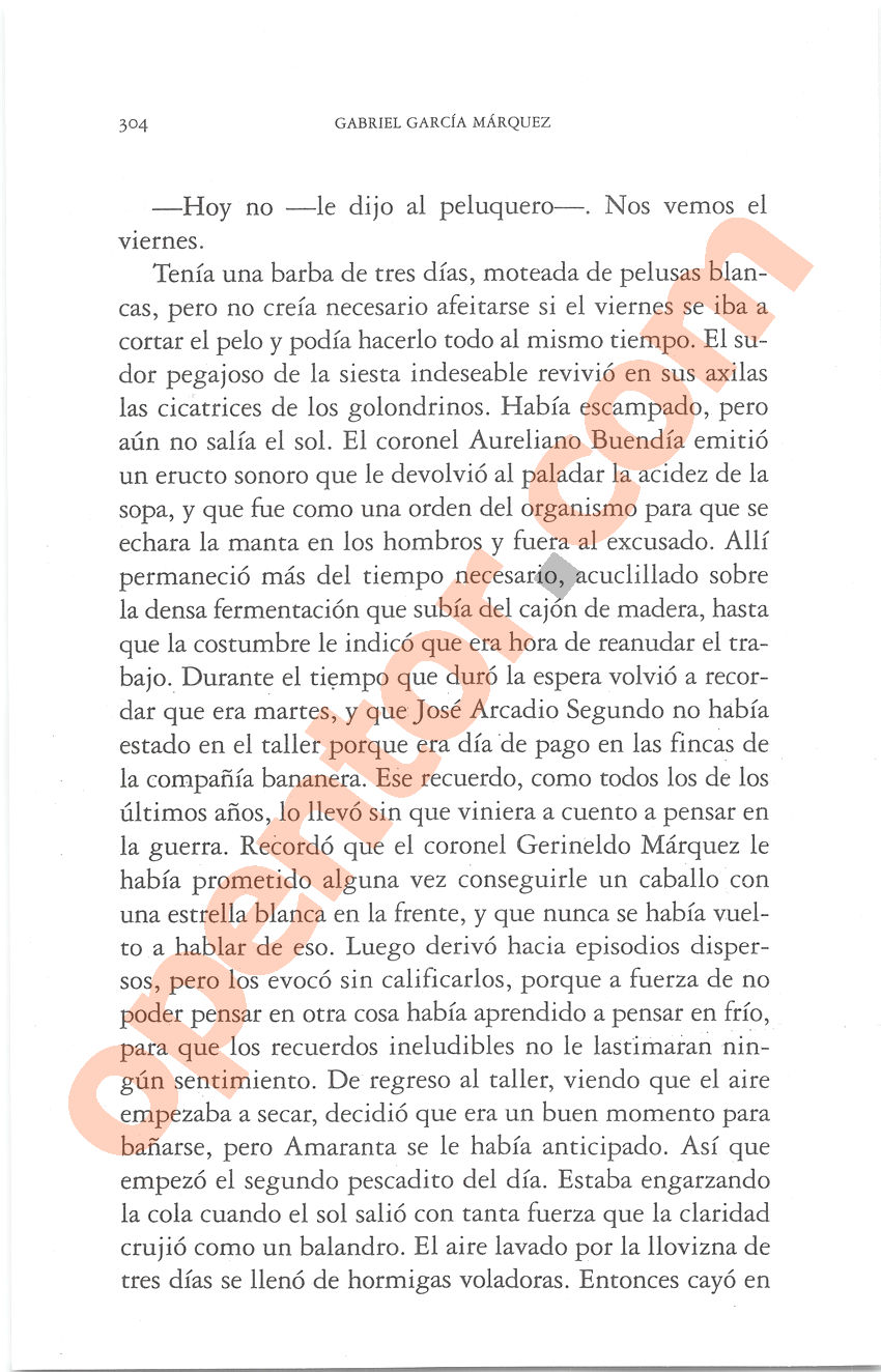 Cien años de soledad de Gabriel García Márquez - Página 304