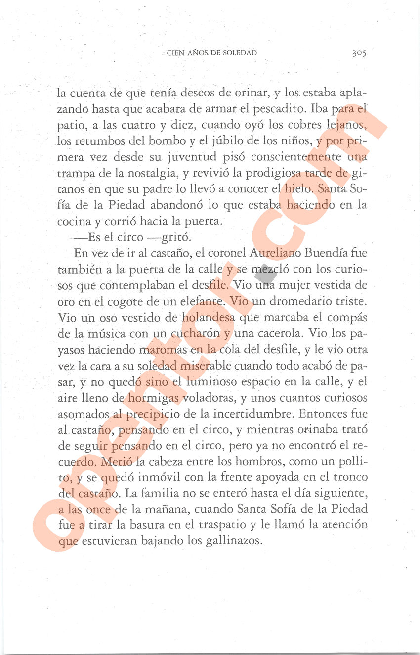 Cien años de soledad de Gabriel García Márquez - Página 305