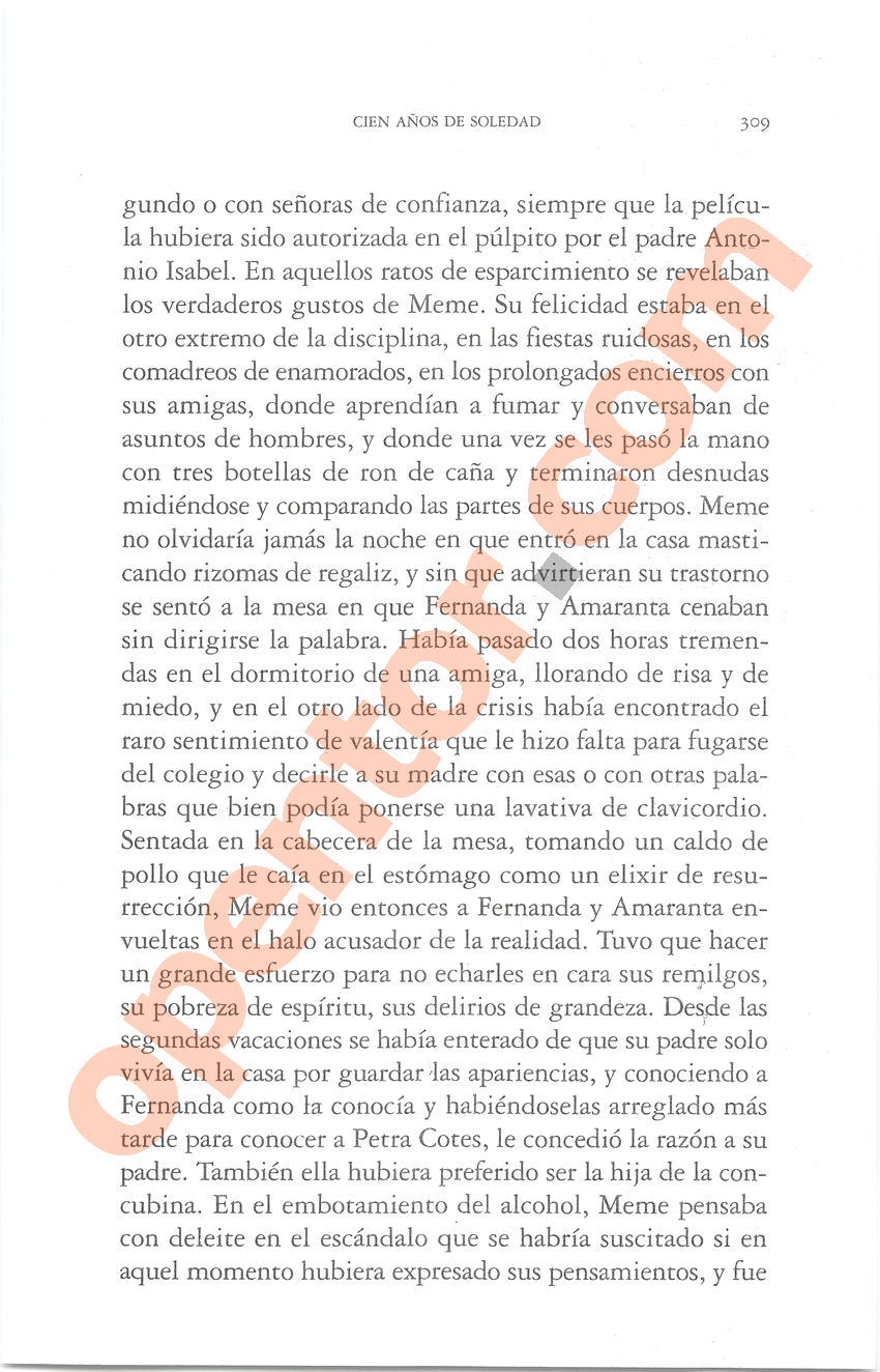 Cien años de soledad de Gabriel García Márquez - Página 309