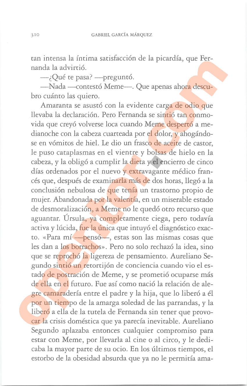 Cien años de soledad de Gabriel García Márquez - Página 310