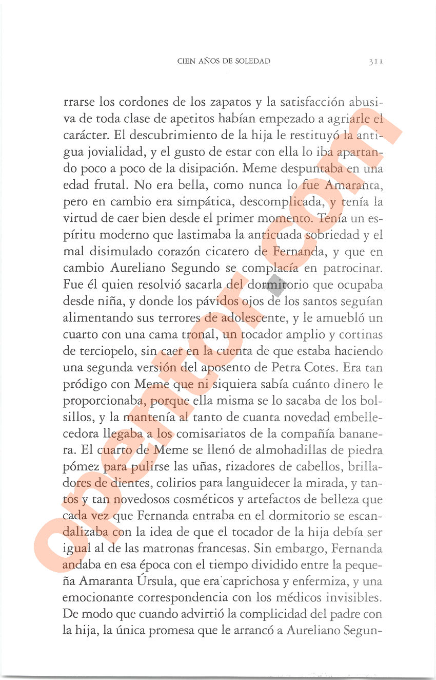Cien años de soledad de Gabriel García Márquez - Página 311
