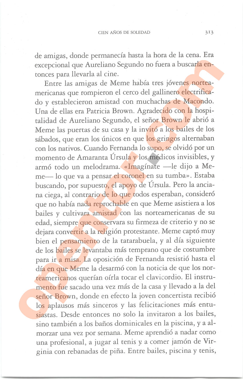 Cien años de soledad de Gabriel García Márquez - Página 313