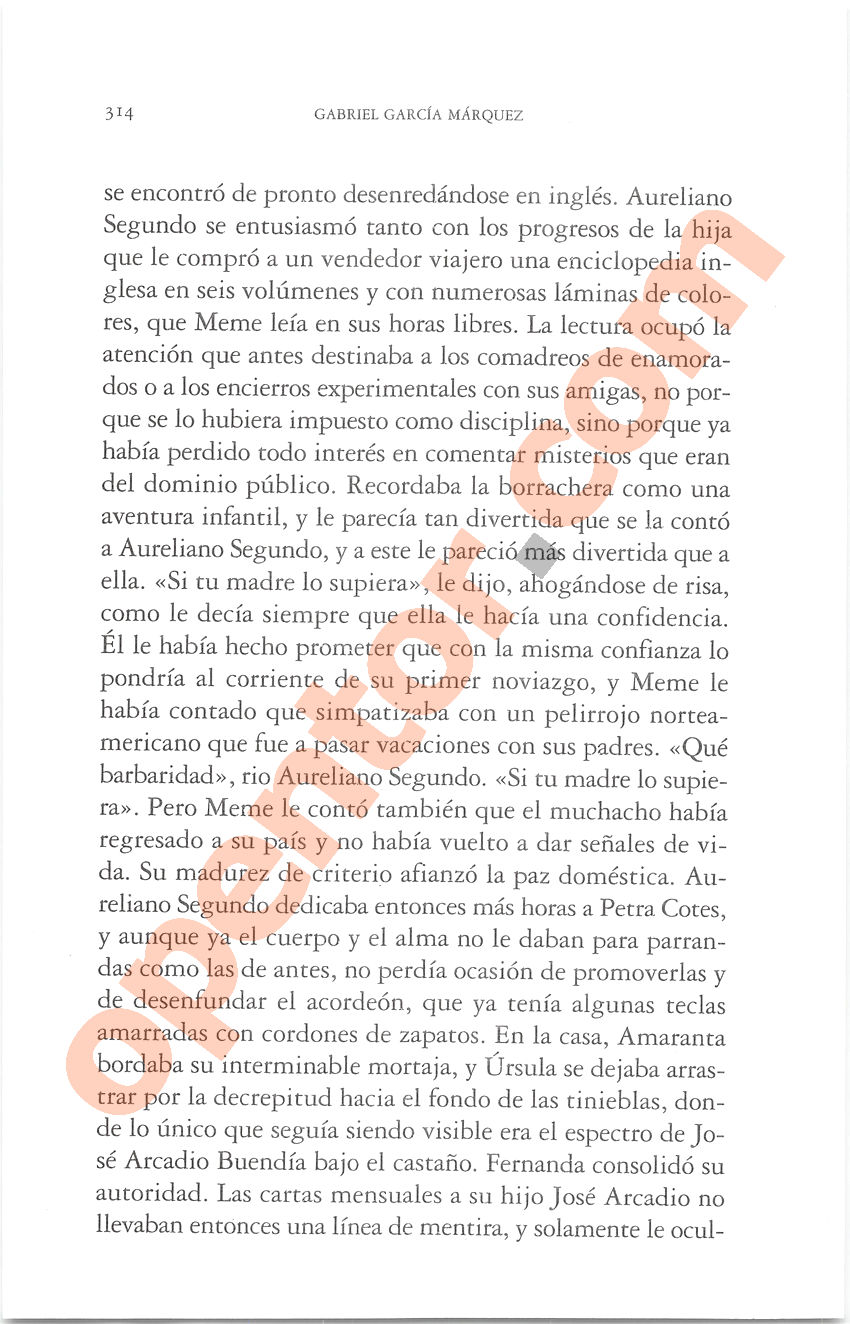 Cien años de soledad de Gabriel García Márquez - Página 314