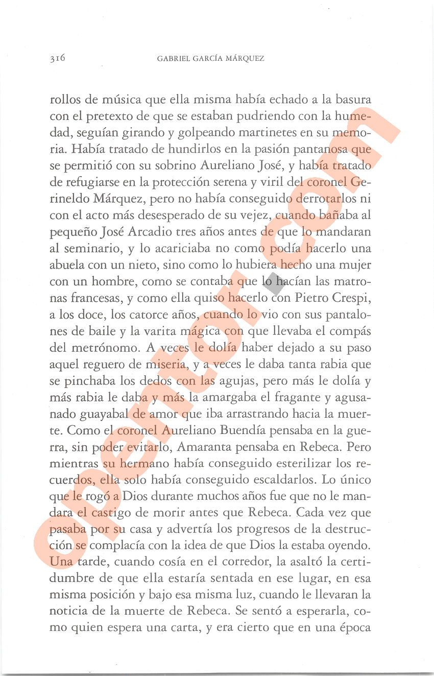 Cien años de soledad de Gabriel García Márquez - Página 316