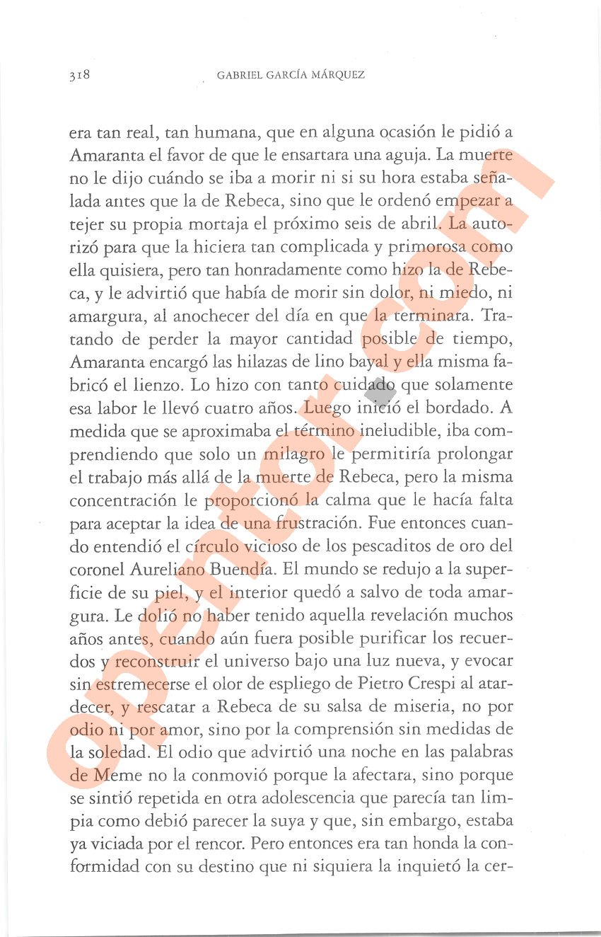 Cien años de soledad de Gabriel García Márquez - Página 318