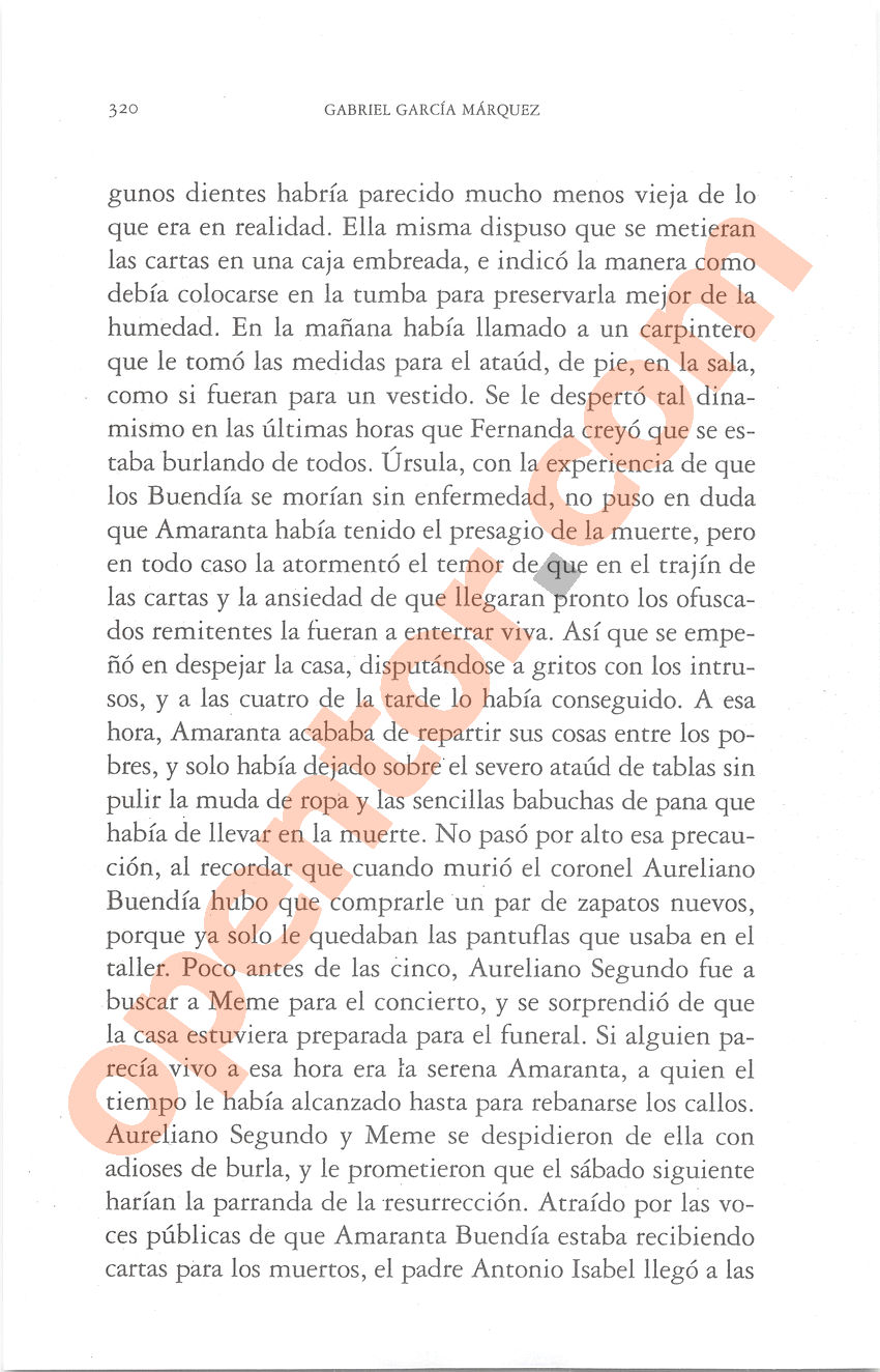 Cien años de soledad de Gabriel García Márquez - Página 320