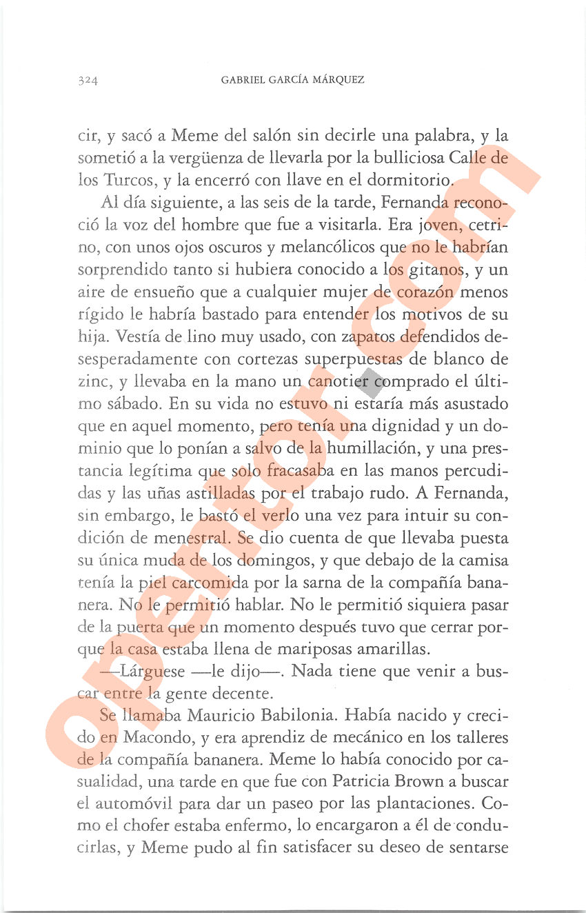 Cien años de soledad de Gabriel García Márquez - Página 324