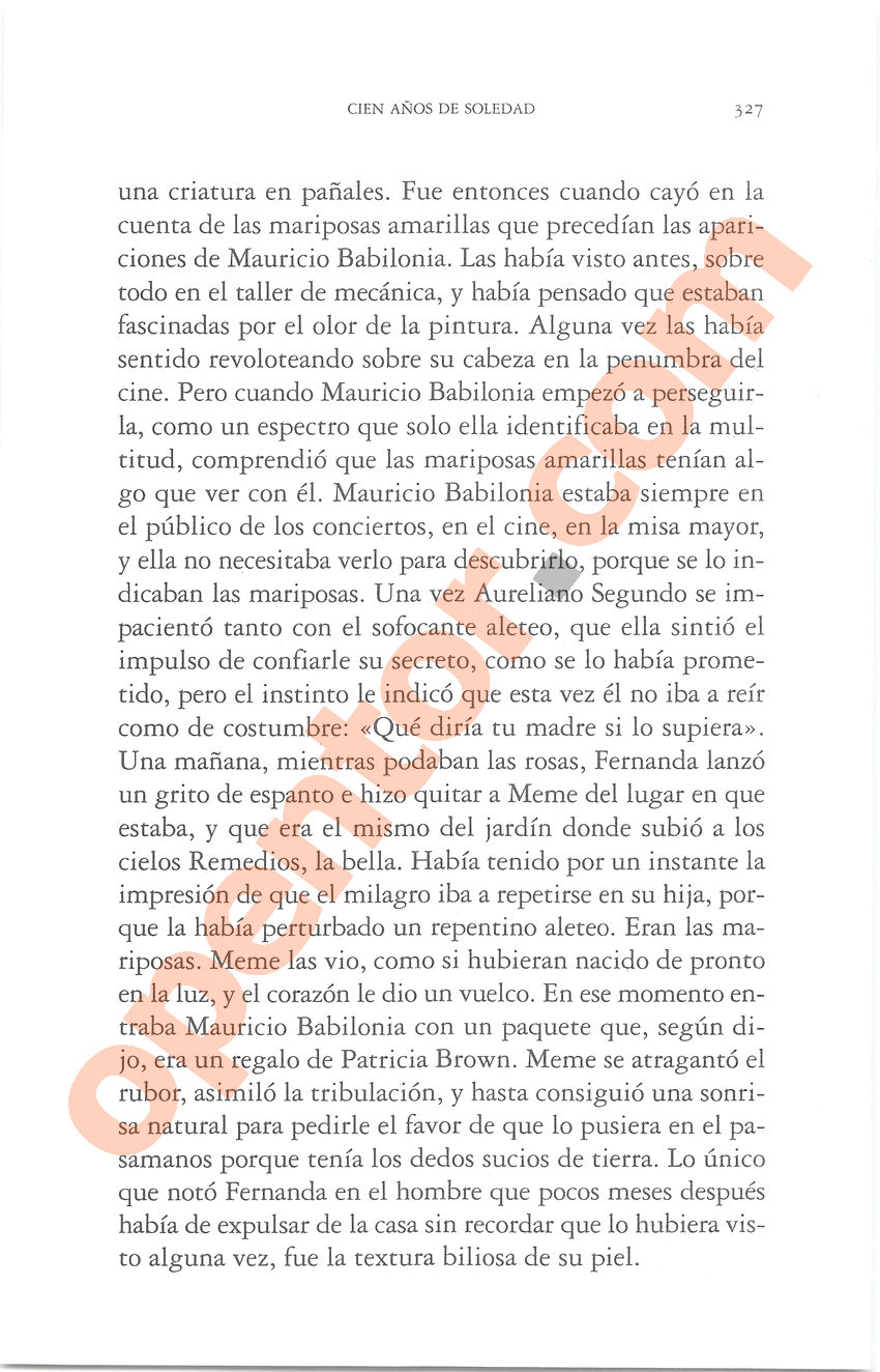 Cien años de soledad de Gabriel García Márquez - Página 327