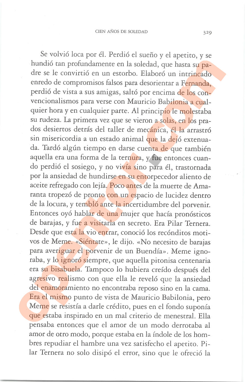 Cien años de soledad de Gabriel García Márquez - Página 329