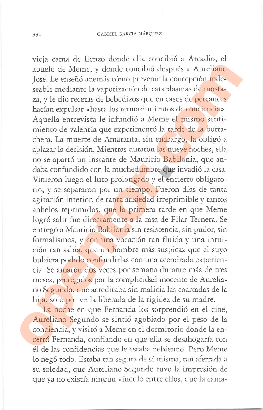 Cien años de soledad de Gabriel García Márquez - Página 330