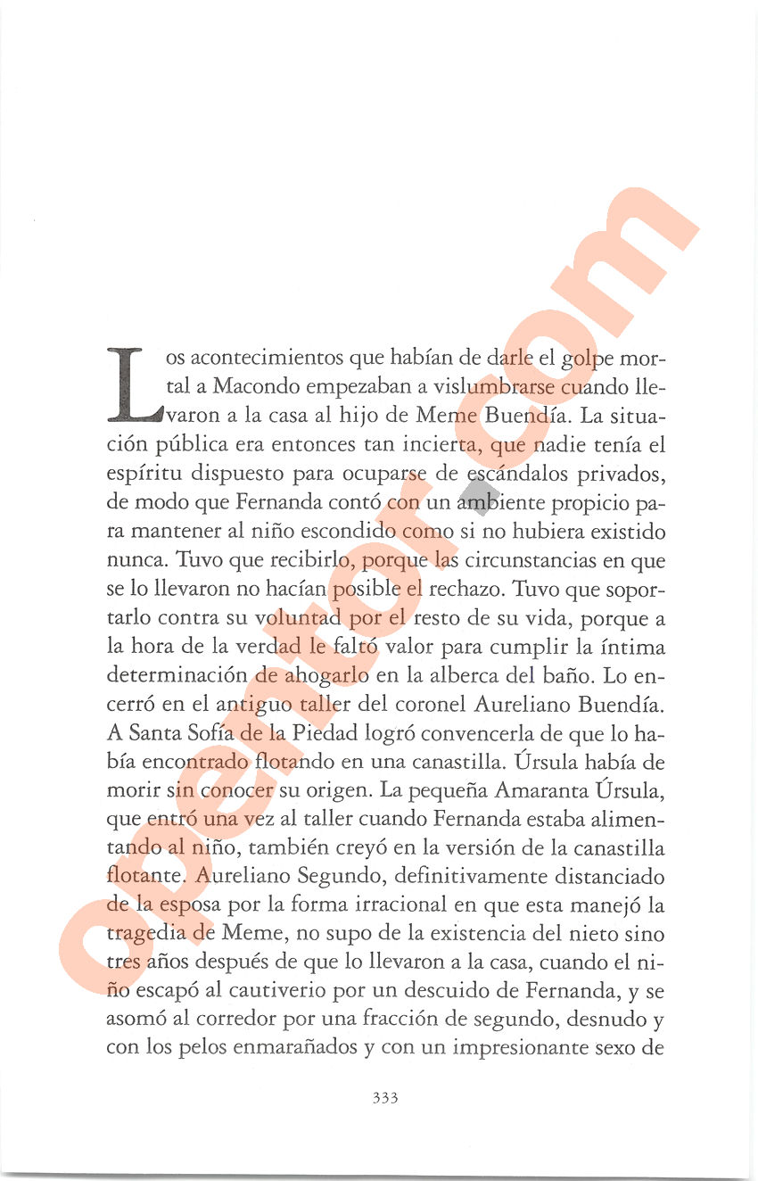 Cien años de soledad de Gabriel García Márquez - Página 333