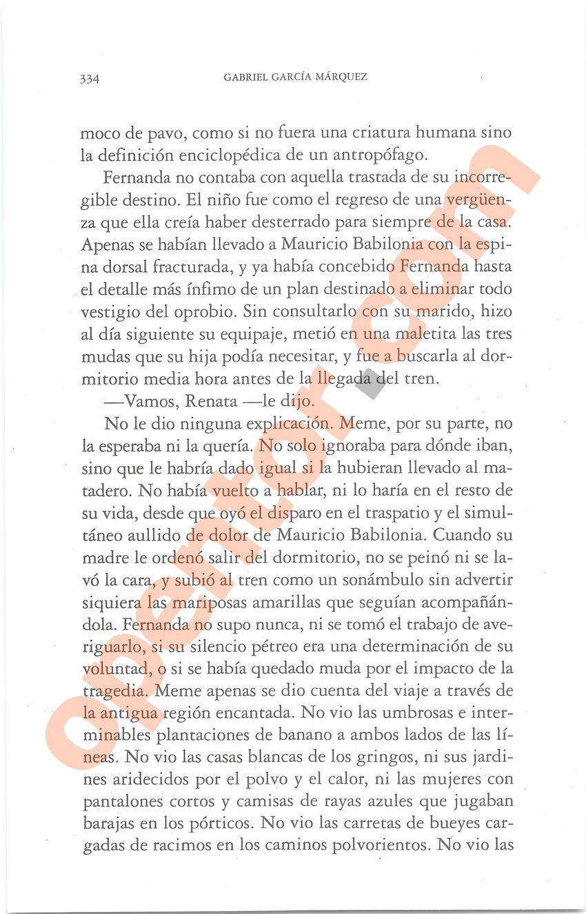 Cien años de soledad de Gabriel García Márquez - Página 334