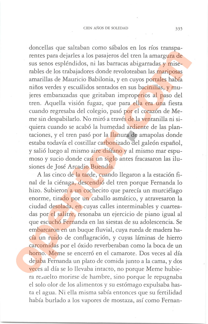 Cien años de soledad de Gabriel García Márquez - Página 335