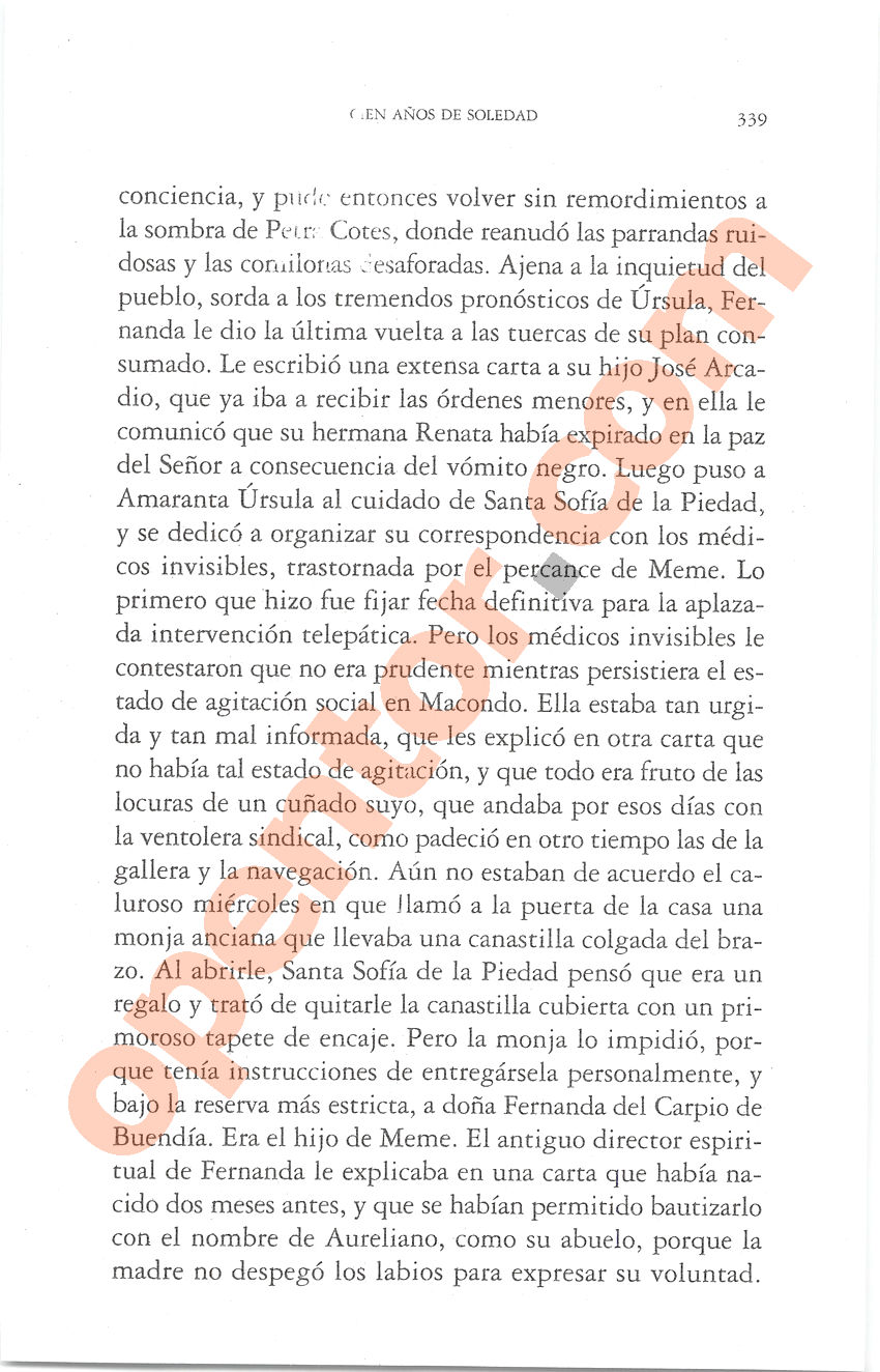 Cien años de soledad de Gabriel García Márquez - Página 339