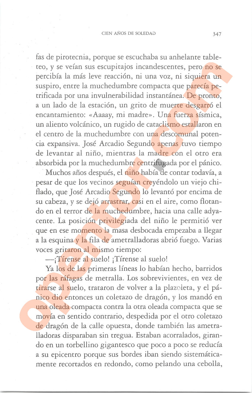 Cien años de soledad de Gabriel García Márquez - Página 347
