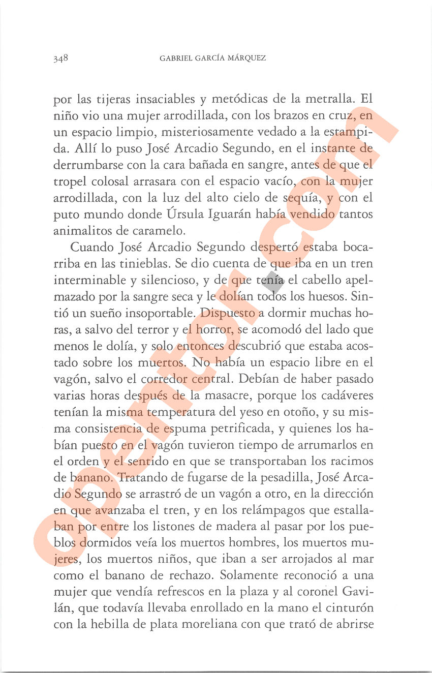 Cien años de soledad de Gabriel García Márquez - Página 348