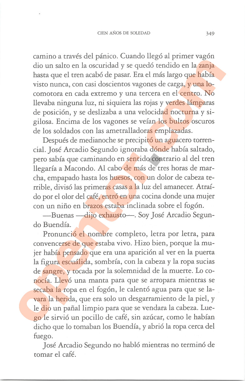 Cien años de soledad de Gabriel García Márquez - Página 349