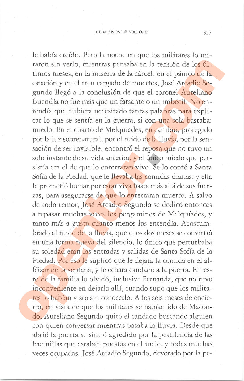 Cien años de soledad de Gabriel García Márquez - Página 355