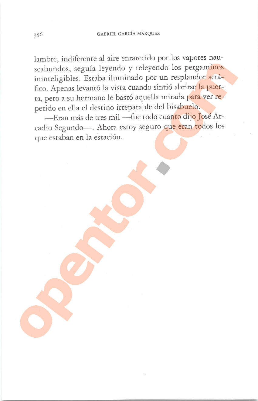 Cien años de soledad de Gabriel García Márquez - Página 356