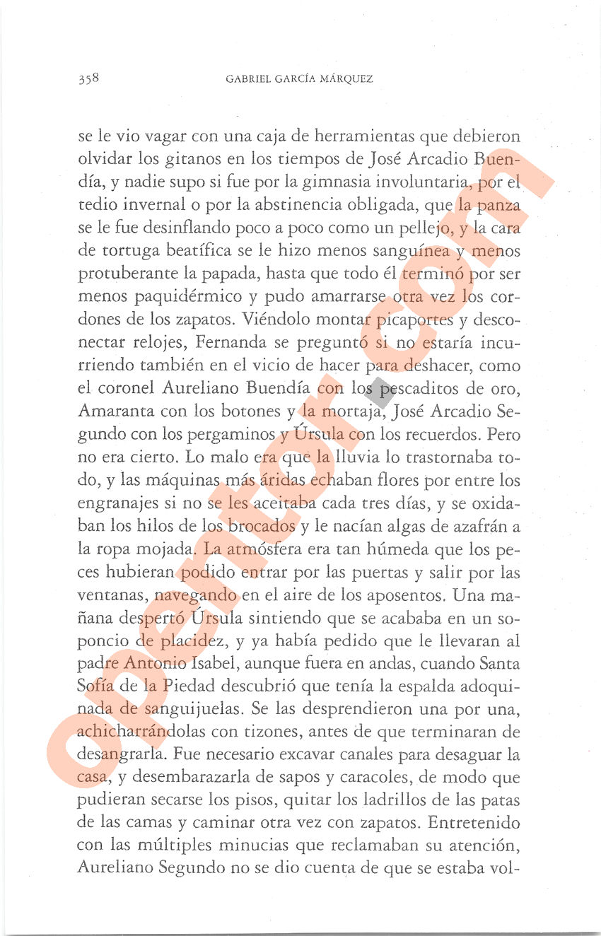Cien años de soledad de Gabriel García Márquez - Página 358