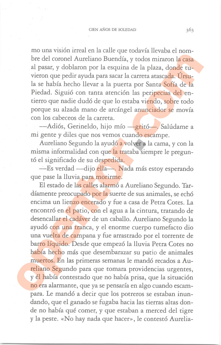Cien años de soledad de Gabriel García Márquez - Página 363
