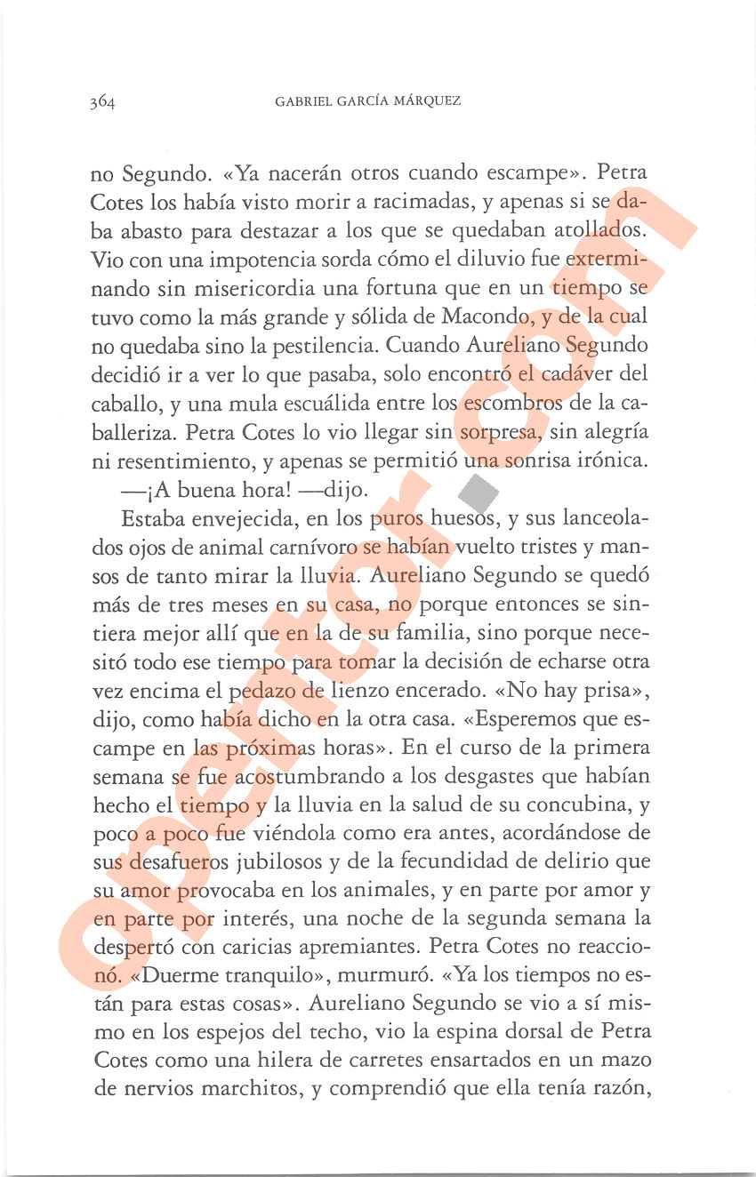 Cien años de soledad de Gabriel García Márquez - Página 364