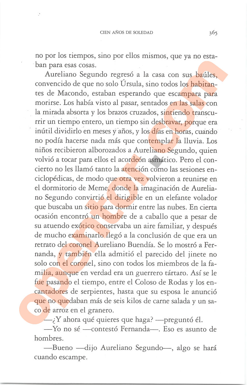 Cien años de soledad de Gabriel García Márquez - Página 365