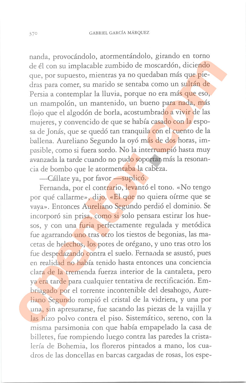 Cien años de soledad de Gabriel García Márquez - Página 370