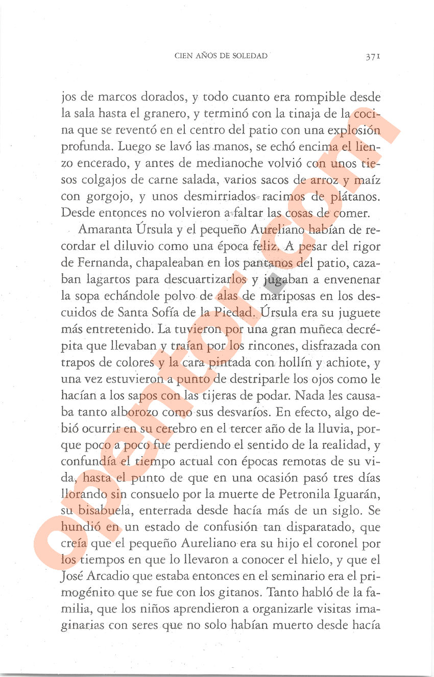 Cien años de soledad de Gabriel García Márquez - Página 371