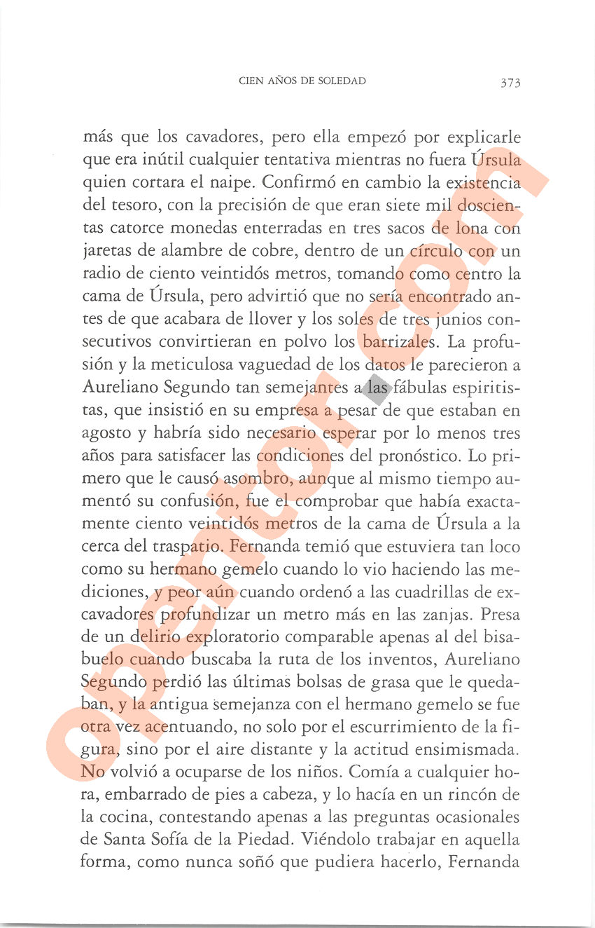 Cien años de soledad de Gabriel García Márquez - Página 373